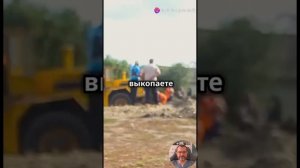 Развенчаем популярные IT-мифы