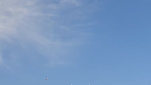 Иранские бойные голуби//Головатые//Тренировка в сильный ветер// Показываю маточник