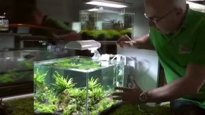 Аквариум Dennerle Scaper's Tank