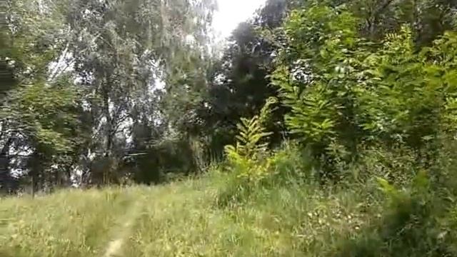 Березовий гай на Кайзервальді смотреть онлайн