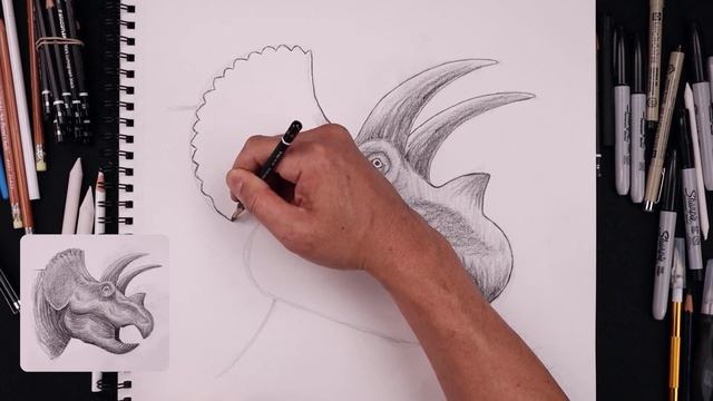 How To Draw Triceratops | YouTube Studio Sketch Tutorial смотреть онлайн
