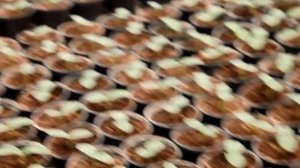 Полное раскрытие семядольного листа на огурце
