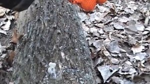 Разрезание жестяной банки пополам