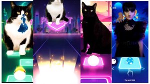 cat singing WEDNESDAY ADDAMS from USA VS RUSSIAN | Tiles Hop: EDM Rush!