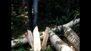 Как выбрать длину топорища походного топора для леса.