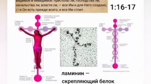 "Ключи Царства Божьего" | Веслей Дьюел |аудиокнига