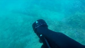 WURKKOS DL70 DIVE LIGHT UNDERWATER TEST