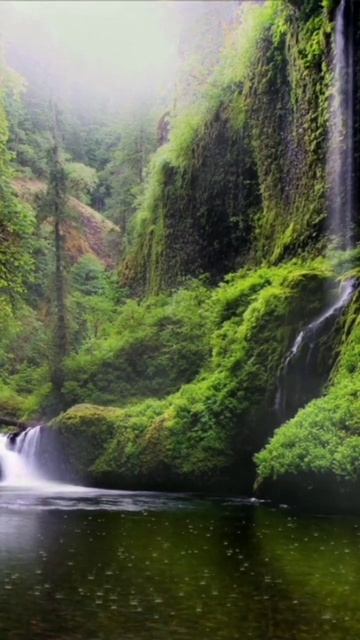 forest rain deep slipe #shorts #short #rain #forest #nature #waterfall #river #relaxation #sleep смотреть онлайн