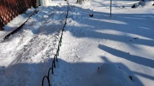 Покупка для дачи, примерка, уборка.