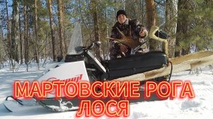 НАШЕЛ БРОШЕННУЮ ИЗБУ . /ВОЛКИ РЯДОМ. НАШЕЛ ЛОСИНЫЙ РОГ .