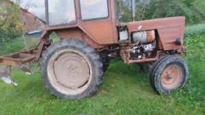 Окучиваем свёклу на Т-25