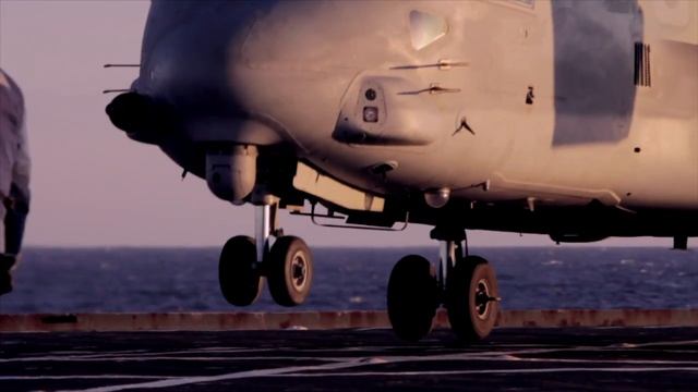 Roles in the Corps: Aviation Supply смотреть онлайн