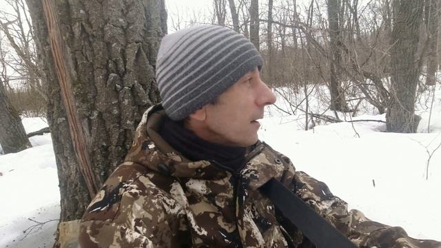 Фотоохота с Альбертом.  Лес наполняется звуками. смотреть онлайн