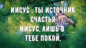 Иисус - Ты источник счастья - минус мой