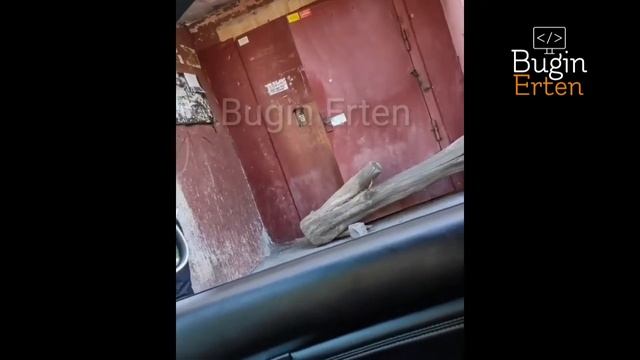 Подъезды ағашпен жауып тастады Темиртау | В Темиртау закрыли подъезд бревном | карантин |коронавиру смотреть онлайн