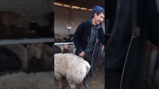 7 март ПРОЛЕТАР МОЛБОЗОРИ ХУЧАНД в прямом эфире! имруз