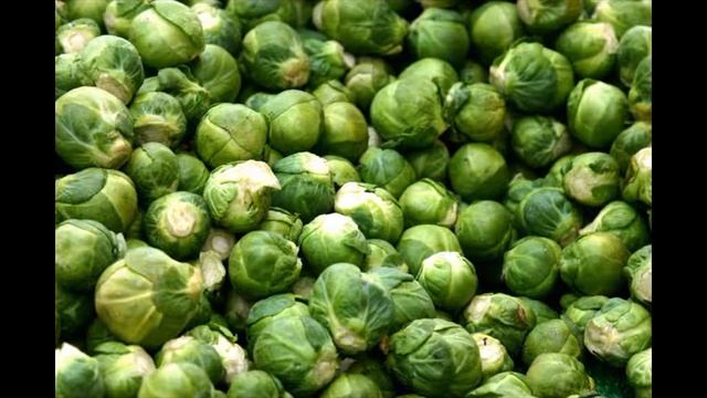 10 продуктов, которые ни за что не станет есть эксперт по пищевой безопасности