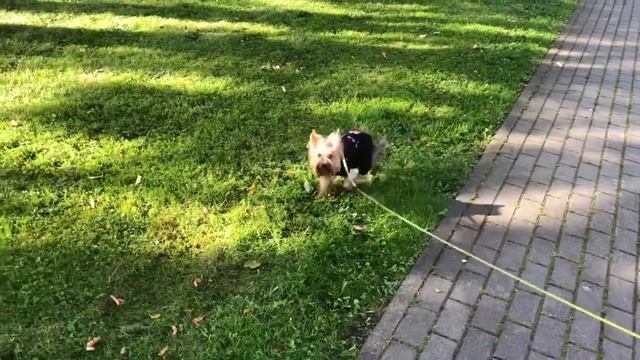 101.    Операция в клинике города Тарту...10 сентября 2020 г.