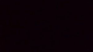 литература стих