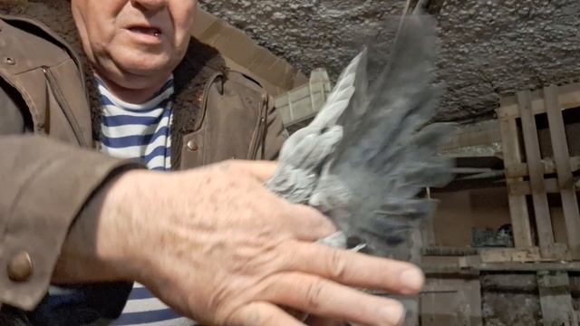 1000058534.mp4 Пискуны И . Т. 2025. смотреть онлайн