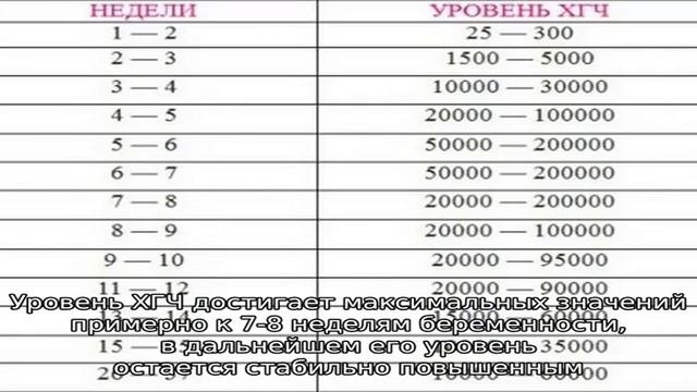 ХГЧ