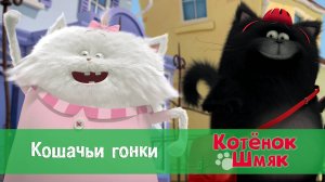 Котенок Шмяк, 1 сезон 42 серия. Кошачьи гонки
