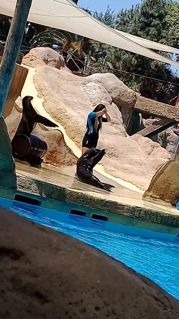 he made 😄😄🤣🤣😂😂😂😅😅😆😆😁😁😃😃😀 смотреть онлайн