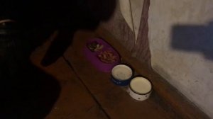 ЗАБРАЛ ВАСЮ У ДЯДИ ВИТИ //ДНЕВНИК БОМЖА