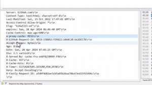 сз13-HTTP в Wireshark _ Компьютерные сети 2025 - 13