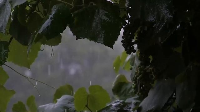 НАМАЗДЫ ЕНДІ БАСТАҒАН АДАМҒА ЕСКЕРТУ