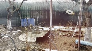 Начала понимать японцев
Когда идиотизм вокруг зашкаливает, хочется общаться с цветочками и камням