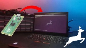 Libreboot Thinkpad T480 с Raspberry Pi Pico