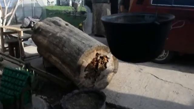 Владимир Илюшин, Один день из жизни художника часть 2 смотреть онлайн