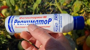 Как сохранить томаты от болезней