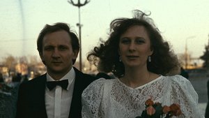 Володя+Марина