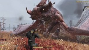 FallOut 76 УБИЙСТВО МАТКИ ЗВЕРОЖОГОВ ЗА 25 СЕКУНД
