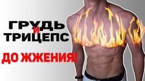 Как Накачать Грудь и Трицепс? | Неделя 4:Тренировка на Массу