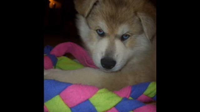 Kita Rita смотреть онлайн