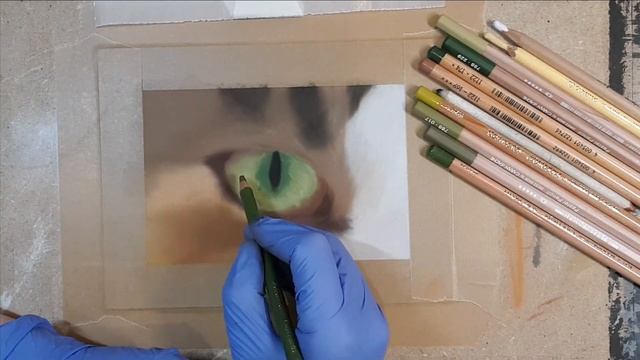 PASTEL TUTORIAL : how to draw CAT EYE | Step-by-step | TinaBaeyensArt смотреть онлайн