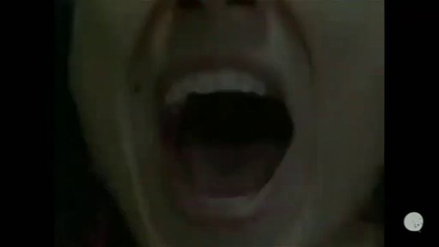 HolyBaam - Даша и животное Концерт версия PashaShow54