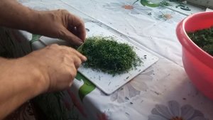 Как заморозить укроп на зиму в домашних условиях. Самый простой способ.