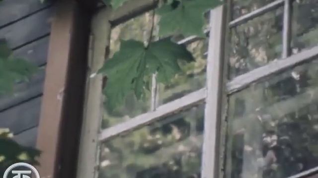 Передача Клуб путешественников. Путешествие в  Поселок художников Сокол. 1981 год