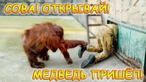 Ох нелегкая это работа - ЗАСТАВИТЬ ДАНУ ИДТИ ДОМОЙ! Что только не сделает директор ради этого!