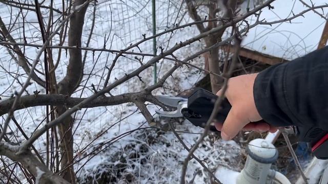 Аккумуляторный секатор. Китай. Распаковка и первый тест. смотреть онлайн