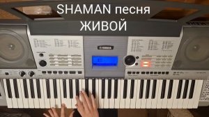 SHAMAN песня ЖИВОЙ