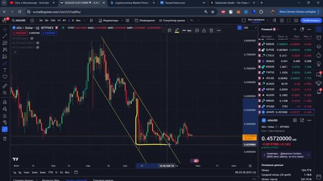 Биткоин и Альткоины крипторынок ждет значительный рост мы находимся в самом начале!
