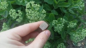 Тренировочная гайка гравировщика. Для просмотра выставляйте в настройках максимальное качество.