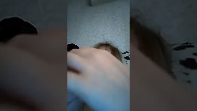 Пингвин из конфеты toffee смотреть онлайн