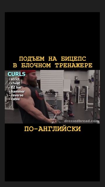 ПОДЪЕМ НА БИЦЕПС В БЛОЧНОМ ТРЕНАЖЕРЕ. Перевод на английский