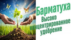 Высококонцентрированные удобрения.